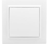 Проходной выключатель EKF Минск СП, 1-клавишный, 10А, белый ERV10-025-10