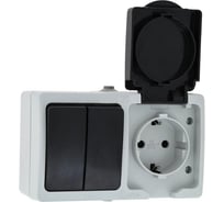 Блок EKF розетка-выключатель 2-кл. 16А с/з с крышкой IP54 серый, Венеция PROxima SQEVRV16-052-30-540