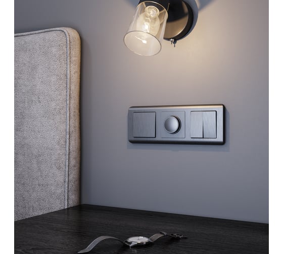 Двухклавишный выключатель WERKEL W1120004 графит рифленый a050756