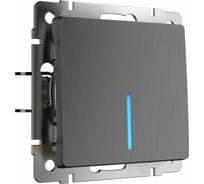 Одноклавишный выключатель WERKEL проходной, с подсветкой, графит, рифленый W1112104 a051687