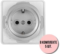 Розетка Aling-conel EON набор 5 шт. с заземлением, механизм 16A 250V серебряная арт. E630.S Н5