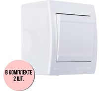 Выключатель Aling-conel POWER набор 2 шт. 1-клавишный однополюсный накладной IP44 10AX 250V белый арт. 251.00 Н2