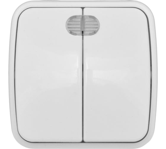 2-клавишный выключатель с индикатором EKF Минск ОП 10А белый Basic EGV10-123-10