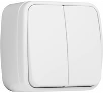 2-клавишный выключатель EKF Минск ОП 10А белый Basic SQEGV10-023-10