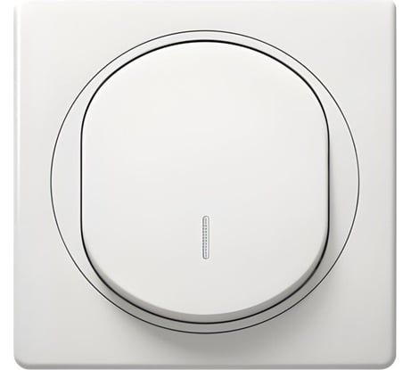 Выключатель Aling-conel EON 1-клавишный с индикацией 10AX 250V белый /арт. / E625.00