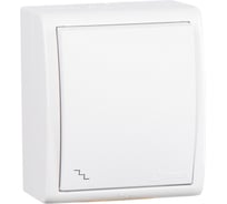 Одноклавишный проходной выключатель Simon с подсветкой, IP54, 10А 250В, S15 Aqua 1594204-030