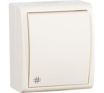 Одноклавишный проходной выключатель Simon с 3-х мест перекр. с подсветкой, IP54, 10А 250В 1594254-031