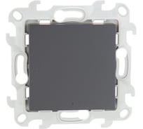 Переключатель с подсветкой Simon графит 2450204-038