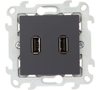 Коннектор Simon 2хUSB, графит 2411090-038