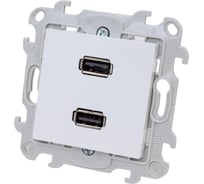 Коннектор Simon 2хUSB, бел 2411090-030