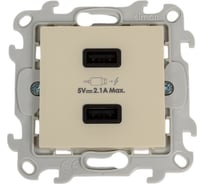 Зарядное устройство Simon розетка 2хUSB, сл кость 2411096-031