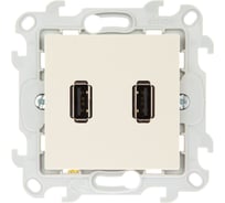Коннектор Simon 2хUSB, сл кость 2411090-031