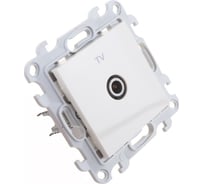 ТВ розетка Simon оконечная, сл кость 2450476-031