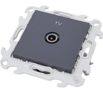 ТВ розетка Simon оконечная, графит 2450476-038