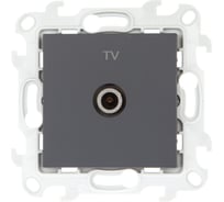 ТВ розетка Simon проходная, графит 2410475-038