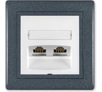 Компьютерная двойная розетка с Keystone модулями Aling-conel PRESTIGE 2хRJ45 кат.5e FTP графит-графит-белый арт. 614S.220