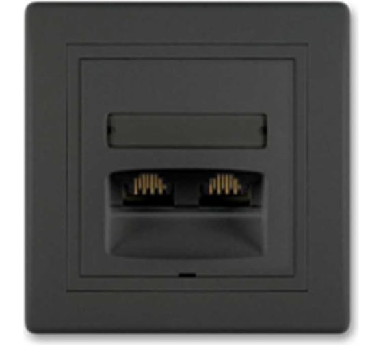 Компьютерная двойная розетка с Keystone модулями Aling-conel PRESTIGE 2хRJ45 кат.5e UTP чёрная soft touch арт. 614.E1E1
