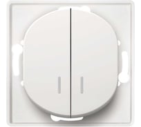 2-клавишный выключатель Aling-conel EON с индикацией МЕХАНИЗМ 10AX 250V белый /арт. / E626.0