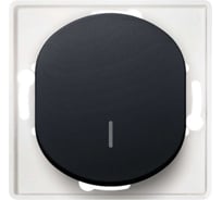 1-клавишный выключатель Aling-conel EON с индикацией МЕХАНИЗМ 10AX 250V чёрный soft touch /арт. / E625.E1