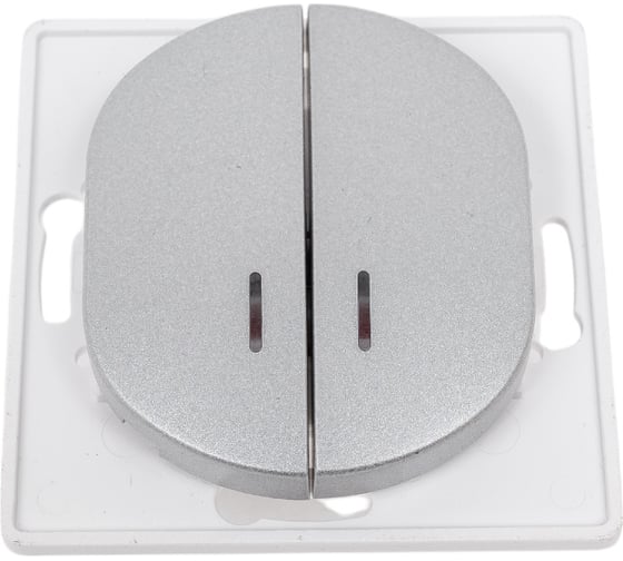 2-клавишный выключатель Aling-conel с индикациейEON МЕХАНИЗМ 10AX 250V серебряный /арт. / E626.S 1