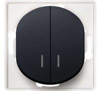 2-клавишный выключатель с индикацией Aling-conel EON МЕХАНИЗМ 10AX 250V чёрный soft touch /арт. / E626.E1