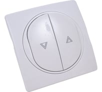 Кнопочный выключатель Aling-conel EON для жалюзи 10А 250V белый /арт. E6075.00
