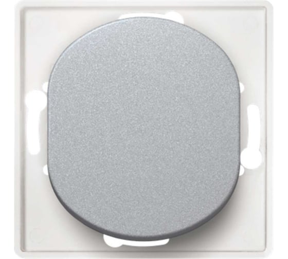 1-клавишный однополюсный выключатель Aling-conel EON МЕХАНИЗМ 10AX 250V серебряный /арт. / E605.S 1