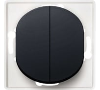 Выключатель Aling-conel EON 2-клавишный, механизм, 10AX 250V чёрный soft touch арт. E606.E1