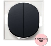Выключатель Aling-conel EON набор 2 шт. 2-клавишный, механизм, 10AX 250V чёрный soft touch арт. E606.E1 Н2