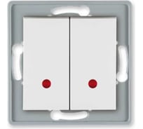 2-клавишный выключатель Aling-conel PRESTIGE с индикацией, механизм, 10AX 250V белый арт. 6026.0