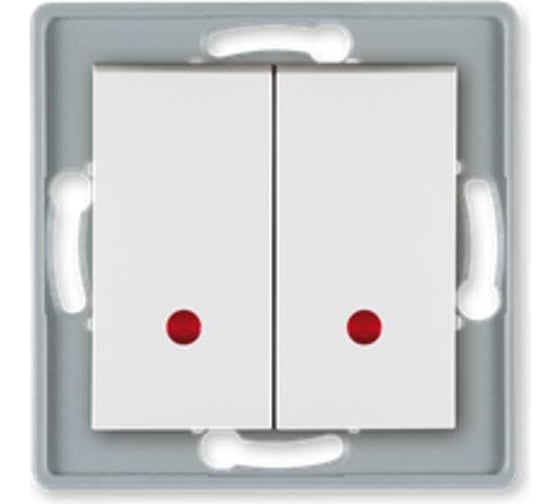 2-клавишный выключатель Aling-conel PRESTIGE с индикацией, механизм, 10AX 250V белый арт. 6026.0 1