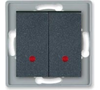 2-клавишный выключатель Aling-conel PRESTIGE с индикацией, механизм, 10AX 250V графитовый арт. 6026.2