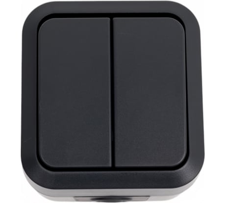 Двухклавишный выключатель IEK Tors 10а ip55 ts105 графит TS-V20-0-10-55-K53