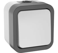 Двухполюсный одноклавишный выключатель IEK Tors 10а ip55 ts211 белый TS-V16-0-10-55-K41