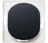 Проходной выключатель Aling-conel EON 1-клавишный, механизм, 10AX 250V чёрный soft touch арт. E607.E1