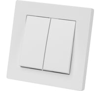 2-х клавишный выключатель TDM ELECTRIC 10а белый "сенеж" SQ1816-0011