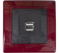 Розетка Aling-Conel PRESTIGE USB-зарядное устройство, двойная 2xUSB А+А 250V/5V 2.1A, бордо-бордо-графит 6161.332
