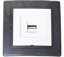 Розетка USB Aling-Conel PRESTIGE тип А, с Keystone модулем, графит-графит-белый 6162.220