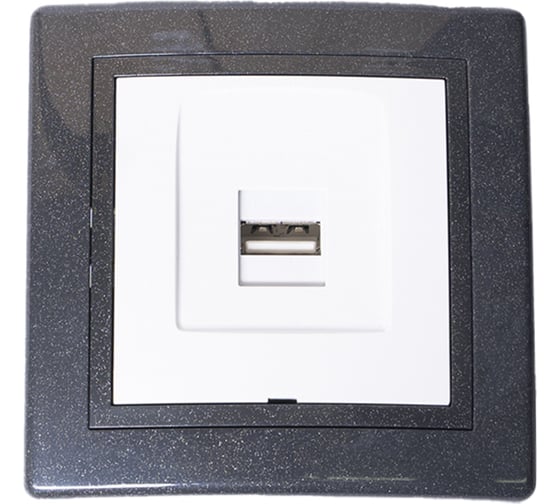 Розетка USB Aling-Conel PRESTIGE тип А, с Keystone модулем, графит-графит-белый 6162.220