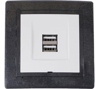 Розетка Aling-Conel PRESTIGE USB-зарядное устройство, двойная 2xUSB А+А 250V/5V 2.1A, графит-графит-белый 6161.220