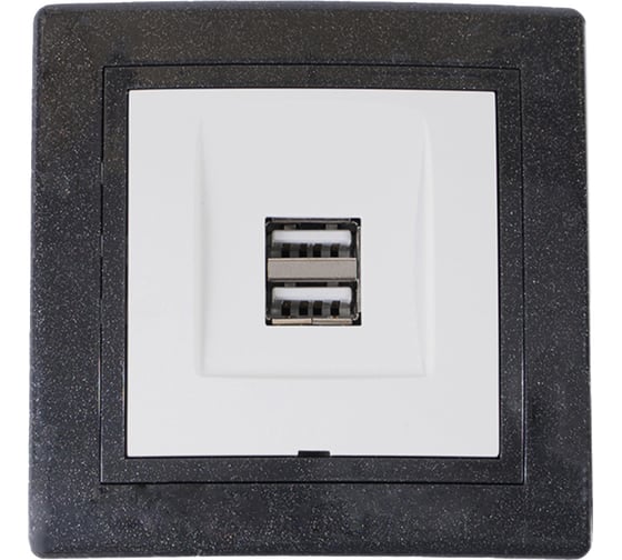 Розетка Aling-Conel PRESTIGE USB-зарядное устройство, двойная 2xUSB А+А 250V/5V 2.1A, графит-графит-белый 6161.220