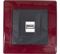 Розетка USB Aling-Conel PRESTIGE тип А, с Keystone модулем, бордо-бордо-графит 6162.332