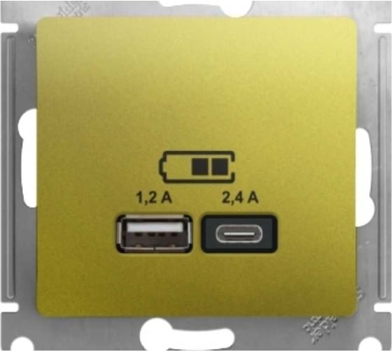 Usb розетка a+с, Systeme Electric Glossa фисташковый 5в/2,4а, 2x5в/1,2 а GSL001039
