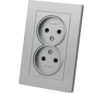 Розетка двойная TDM ELECTRIC 2п 10А 250В с защитными шторками серебр. металлик "сенеж" SQ1816-0235