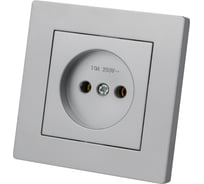 Розетка TDM ELECTRIC 2п 10А 250В серебр. металлик "сенеж" SQ1816-0230