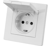 Розетка TDM ELECTRIC 2п+з 16А 250В ip44 с защитными шторками с крышкой белая "сенеж" SQ1816-0039