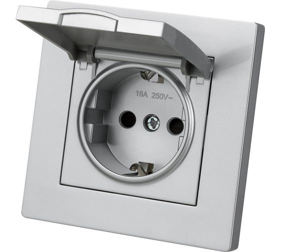 Розетка TDM ELECTRIC 2п+з 16А 250В ip44 с защитными шторками с крышкой серебр. металлик "сенеж" SQ1816-0239