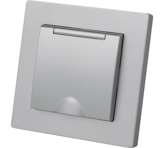Розетка TDM ELECTRIC 2п+з 16А 250В ip44 с защитными шторками с крышкой серебр. металлик "сенеж" SQ1816-0239