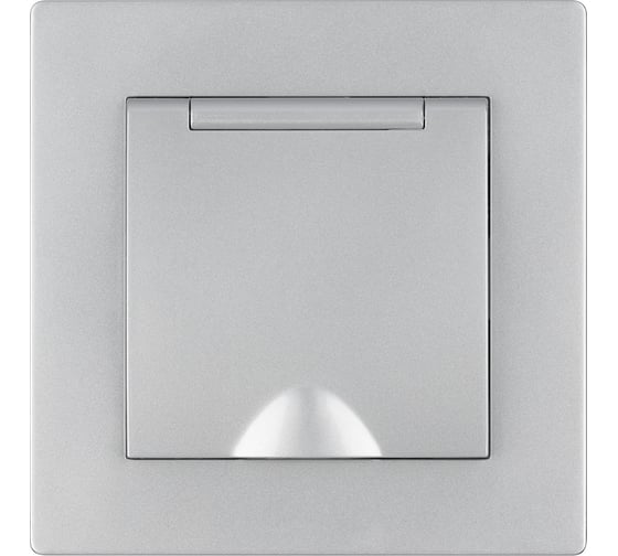 Розетка TDM ELECTRIC 2п+з 16А 250В ip44 с защитными шторками с крышкой серебр. металлик "сенеж" SQ1816-0239