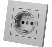 Розетка TDM ELECTRIC 2п+з 16А 250В с защитными шторками серебр. металлик "сенеж" SQ1816-0233